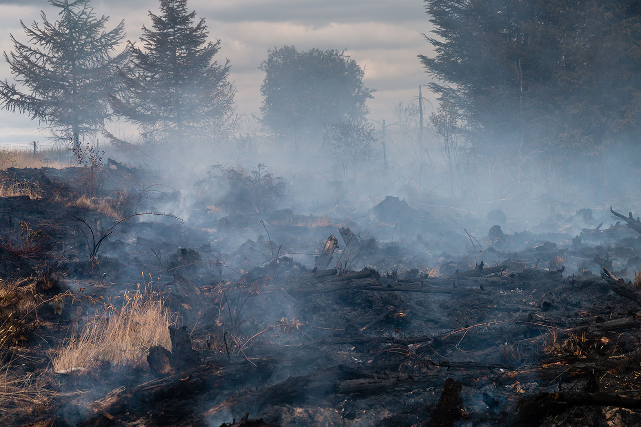 Scottish Forestry Resilience Knowledge Exchange Webinar – Wildfire Resilience